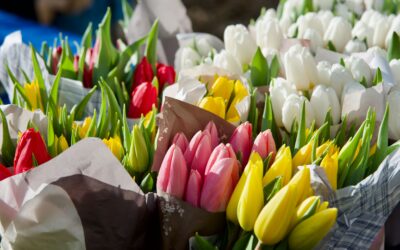 It’s Spring Cleaning Season. Don’t Forget About Your Finances.