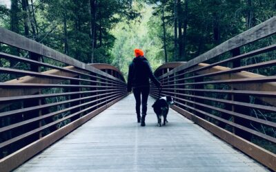 A Whole New Way to Own Life Insurance