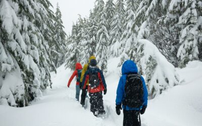 Insurance Is Putting Your Family First